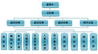 索象營銷策劃公司 以專業咨詢策劃服務為核心的組織架構解析